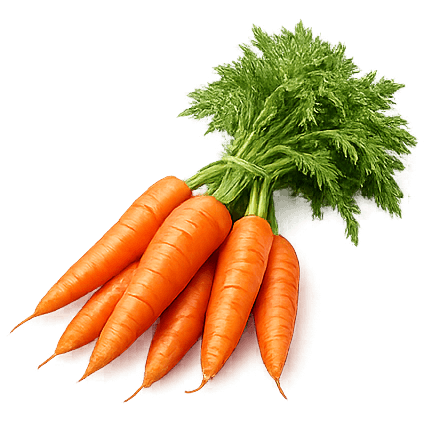 Vegetables